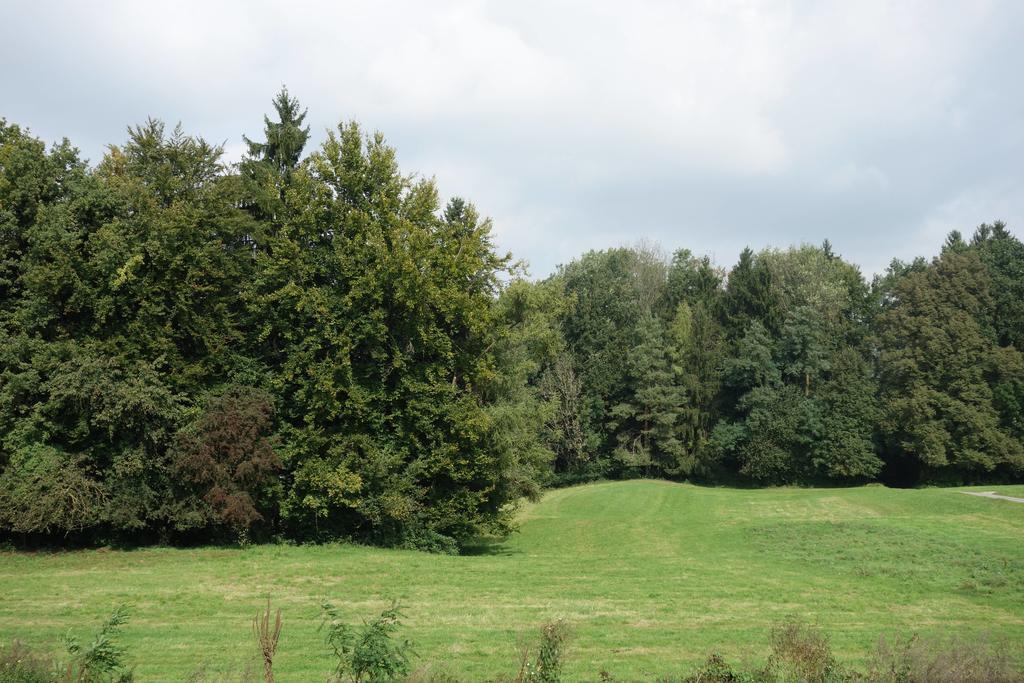 Hotel Frauenfeld Bilik gambar